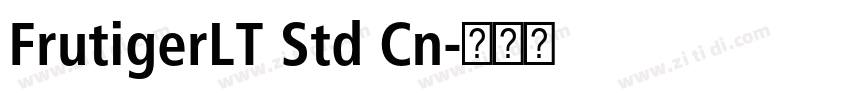 FrutigerLT Std Cn字体转换 FrutigerLT Std Cn字体转换
